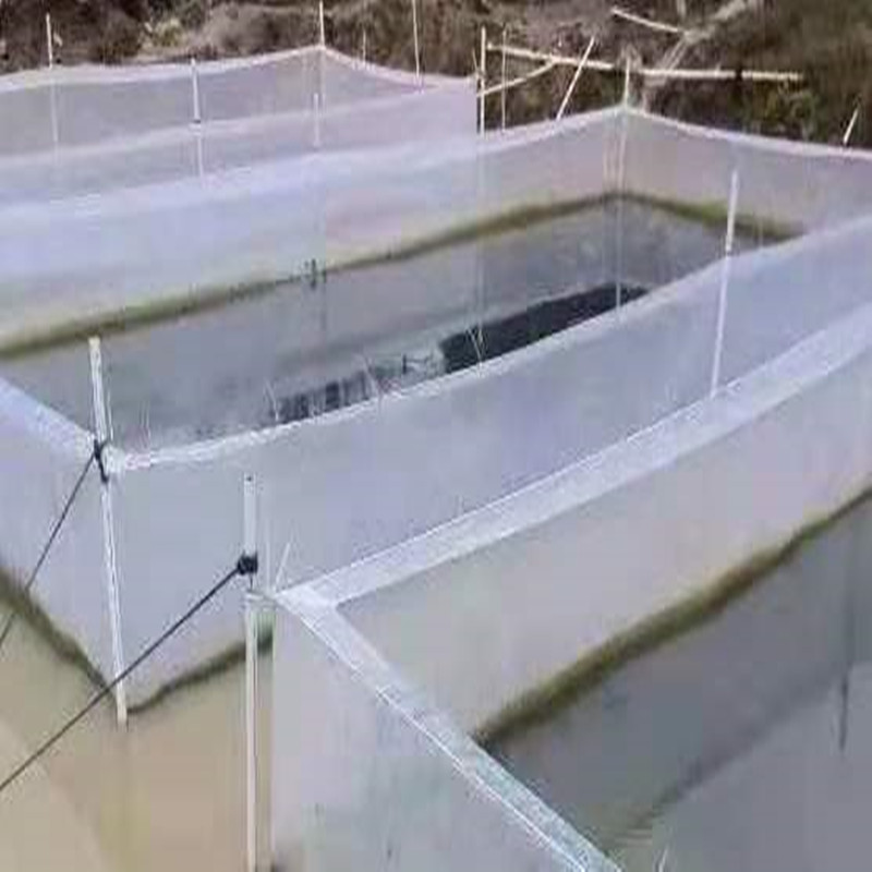 Aquarium Fish Escape - Weißer Anti-Flucht-Netzkäfig für Aale, Schlammkäfer, Blutegel,