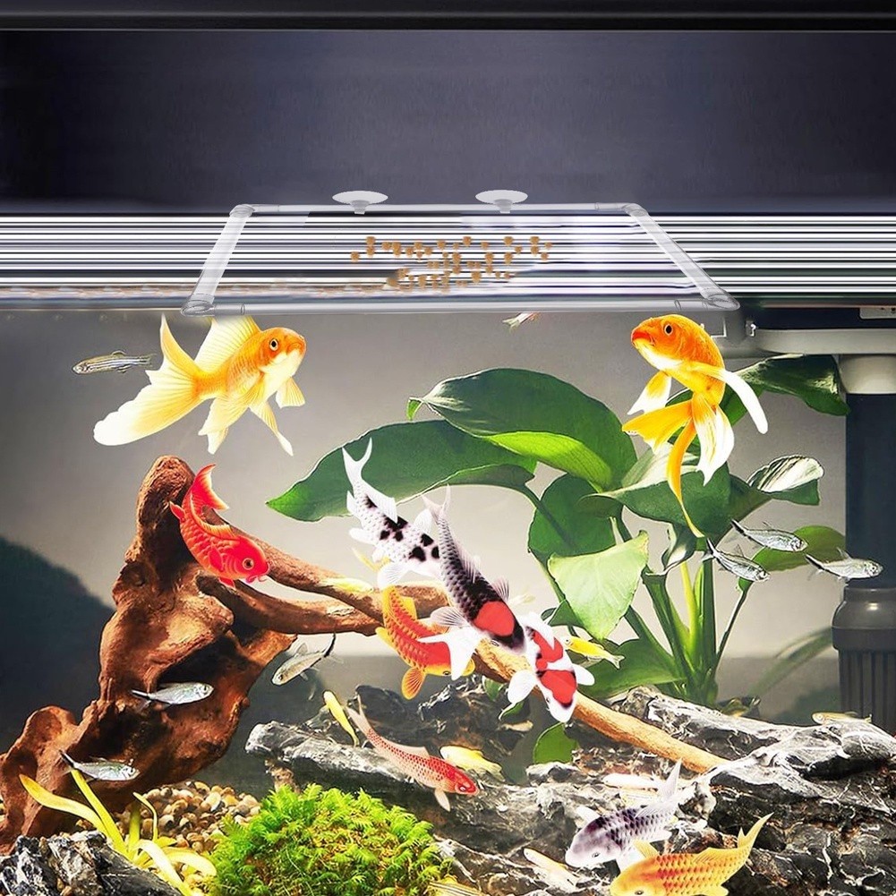Aquarium Fish Zone - Aquarium-Schwimmpflanzen-Korral für Acryl-Aquarien und Außenteiche zur