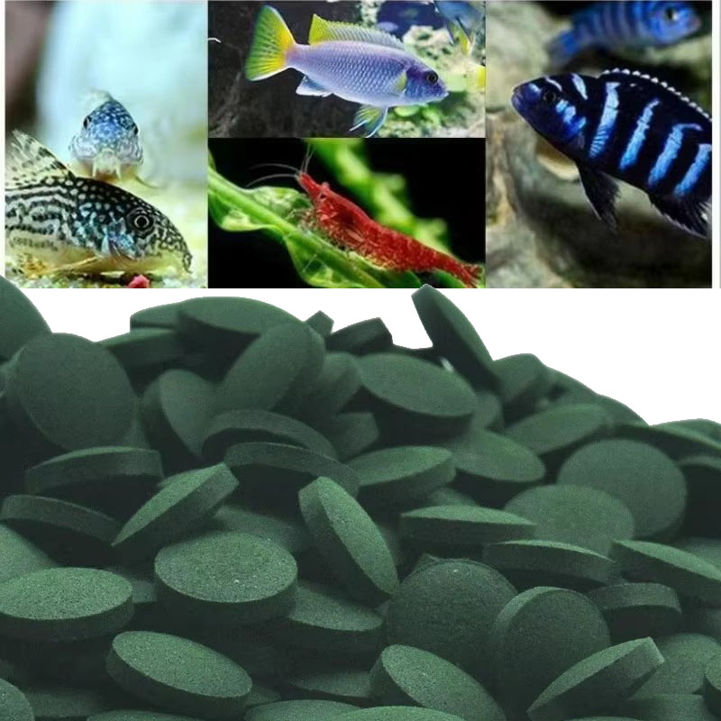 Aquarium Fish Holiday Food - 50/100/300/500 stücke Spirulina Tabletten Spirale Algen