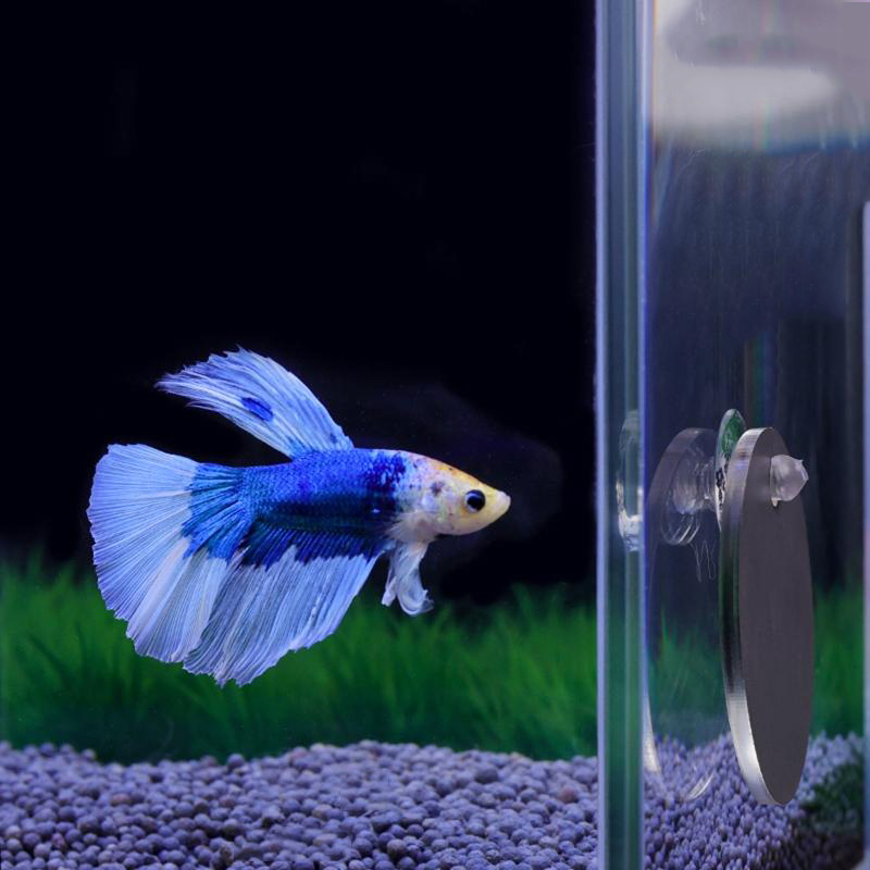 Aquarium Fish Escape - Aquarium Betta Spiegel Aquarium schwimmender runder