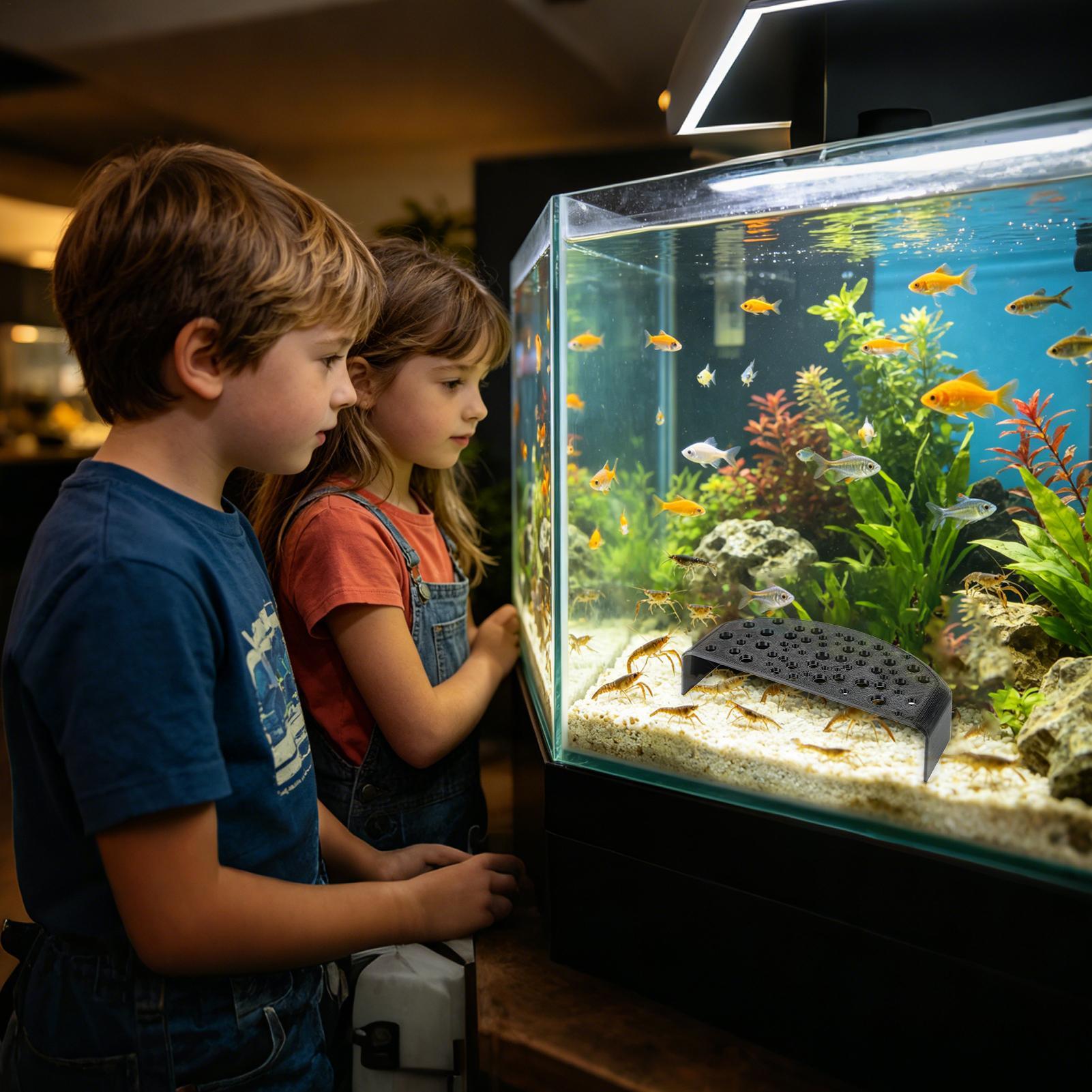 Aquatisches Haustier-Ruheornam – Aquarium Fish Zone Bewertung und Preis