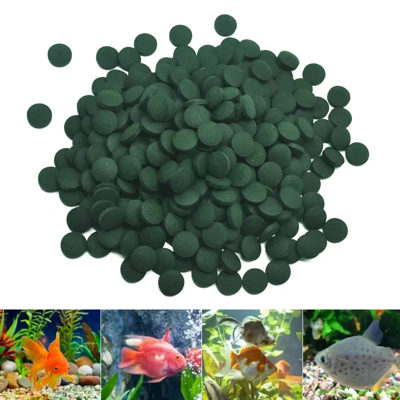 100-3000 Stück hochreine Spiru – Aquarium Fish Holiday Food Bewertung und Preis