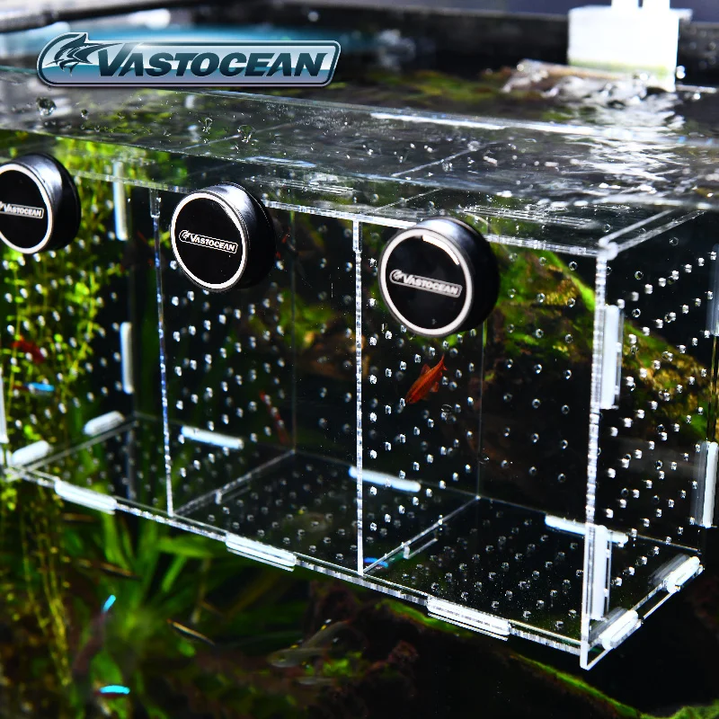 VASTOCEAN Aquarium Magnetische – Aquarium Fish Real Bewertung und Preis
