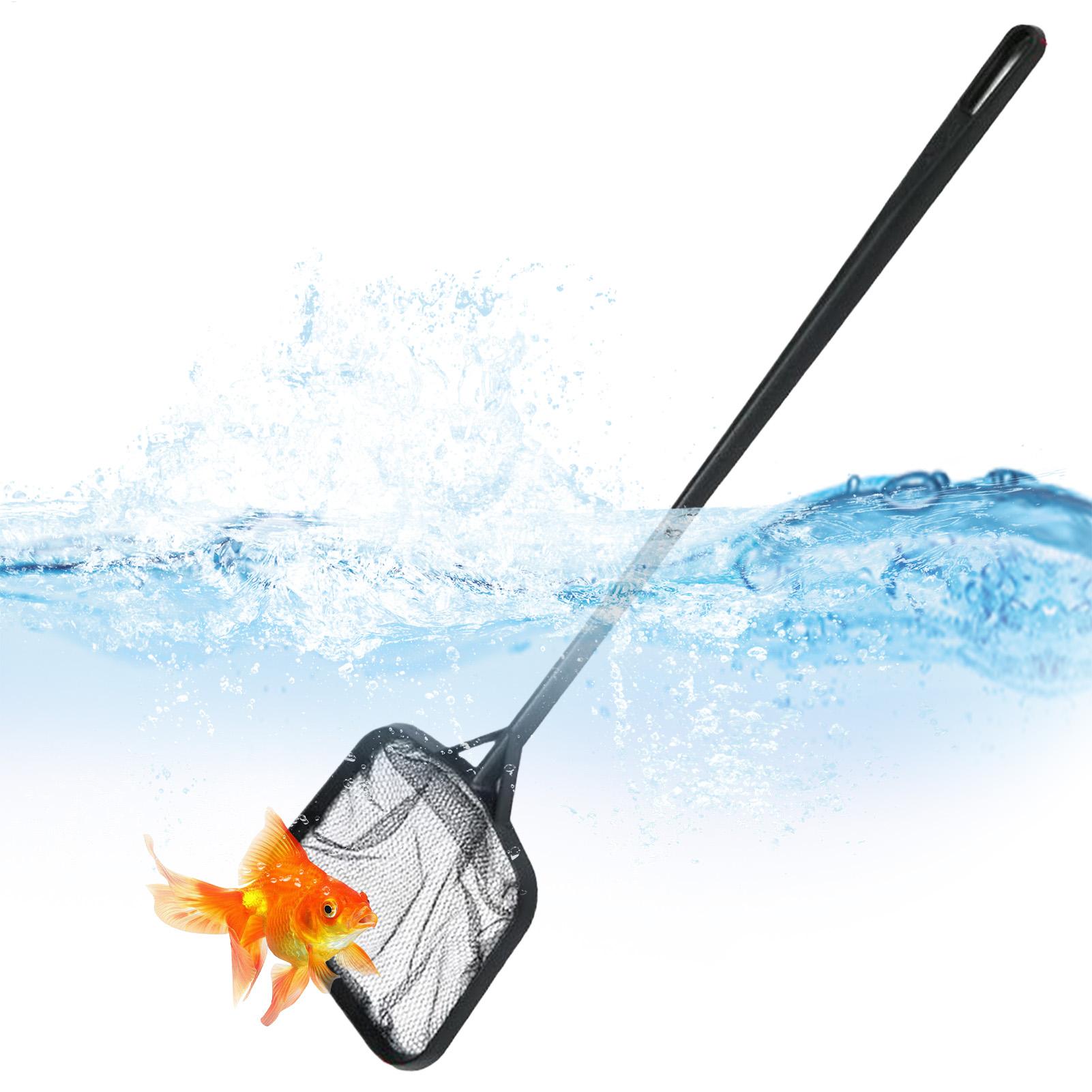 Poolnetze zur Reinigung, tragb – Aquarium Fish Real Bewertung und Preis