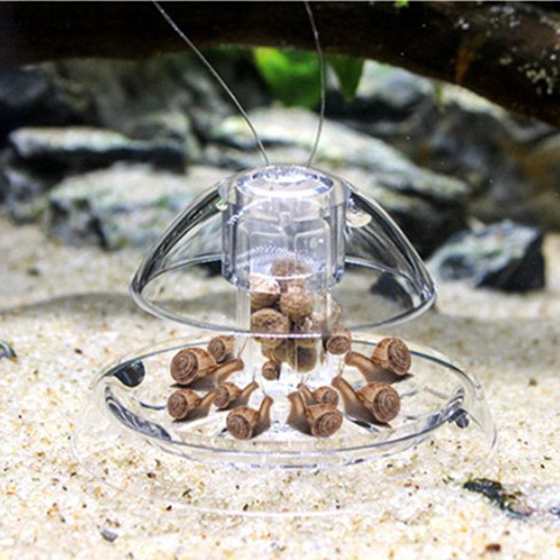 1 Stück Aquarium Aquarium Rein – Aquarium Fish Escape Bewertung und Preis