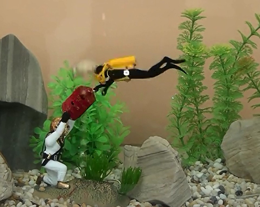 Hot Aquarium Dekoration Unterw – Aquarium Fish Gif Bewertung und Preis