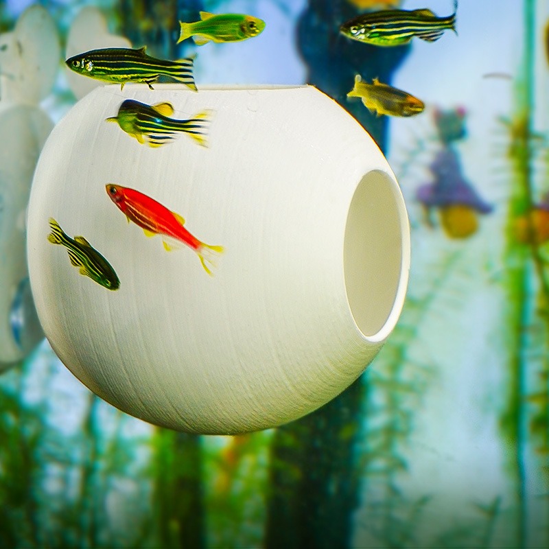 Kreatives Aquarium-Dekor: 3D-G – Aquarium Fish Parrot Bewertung und Preis