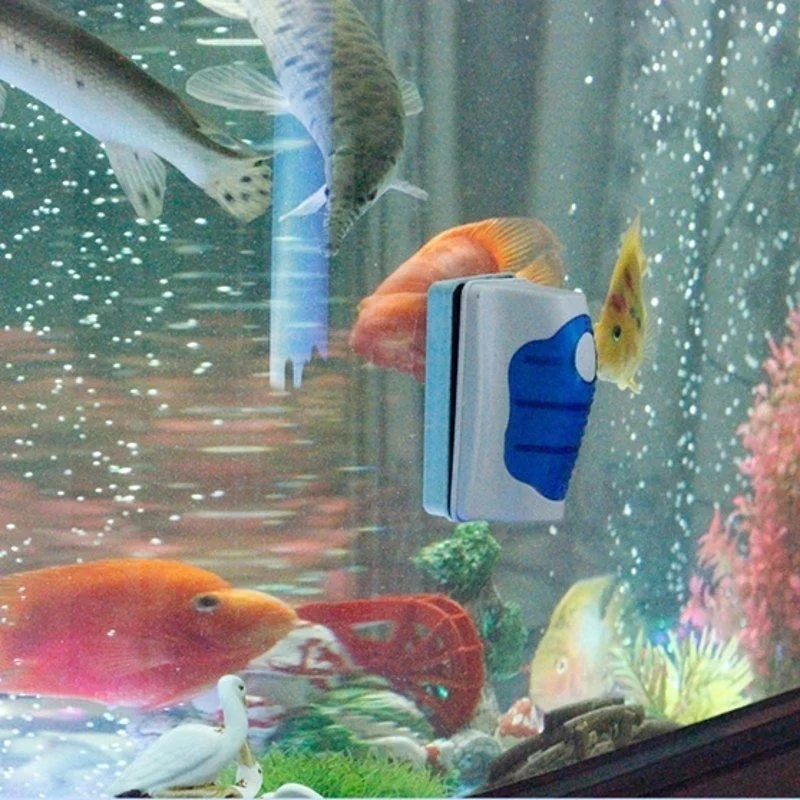 Aquarium Glas Schaber Reiniger – Aquarium Fish Escape Bewertung und Preis