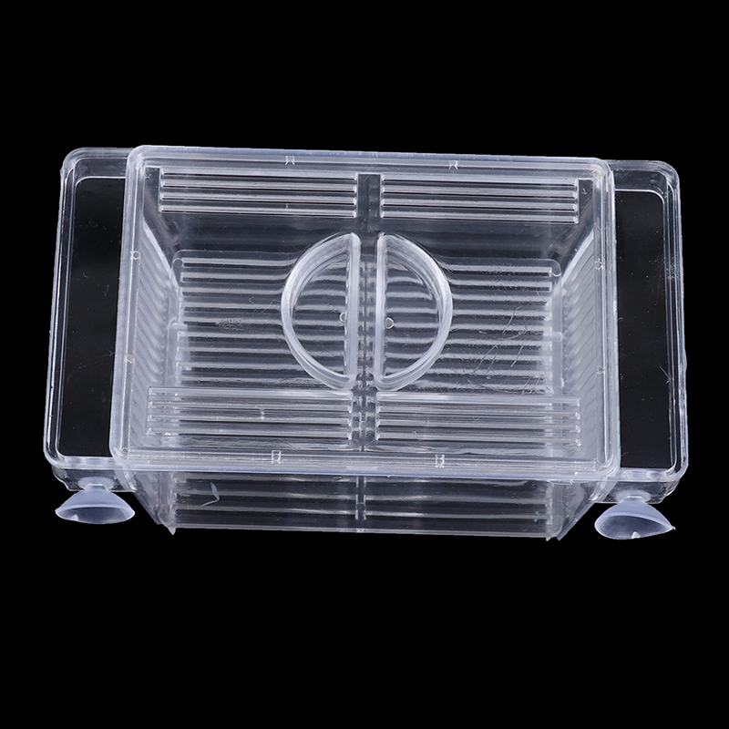 Aquarium Aquarium Guppy Doppel – Aquarium Fish Escape Bewertung und Preis