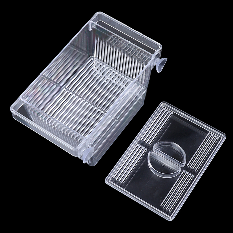 Aquarium Aquarium Guppy Doppel – Aquarium Fish Escape Bewertung und Preis