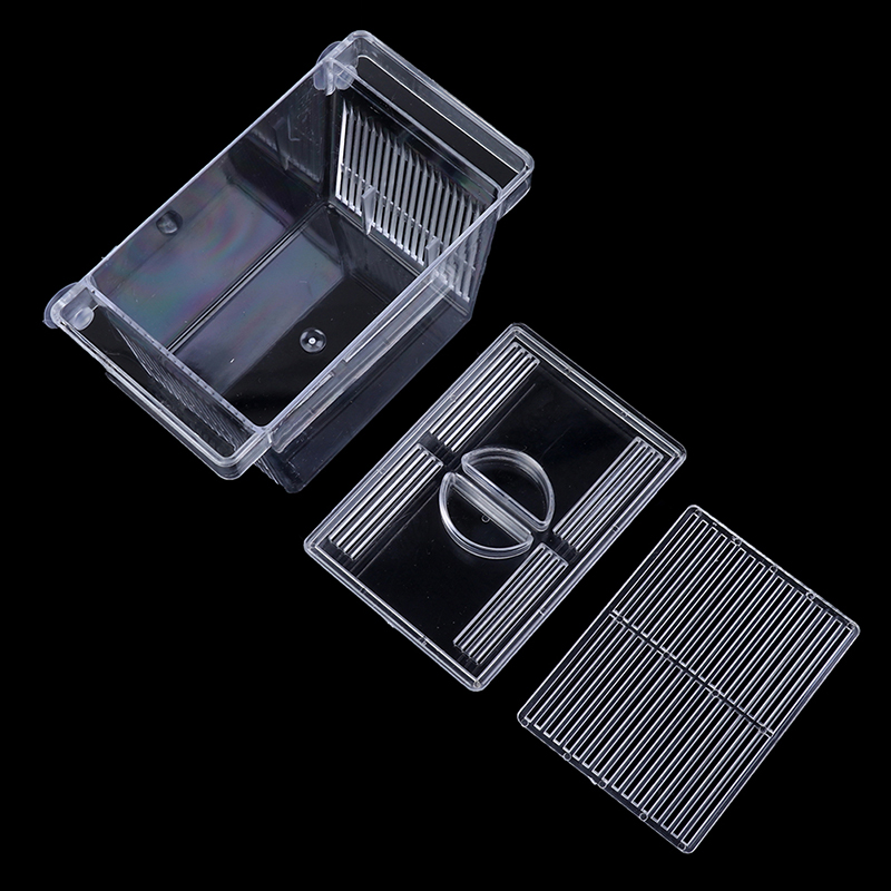 Aquarium Aquarium Guppy Doppel – Aquarium Fish Escape Bewertung und Preis
