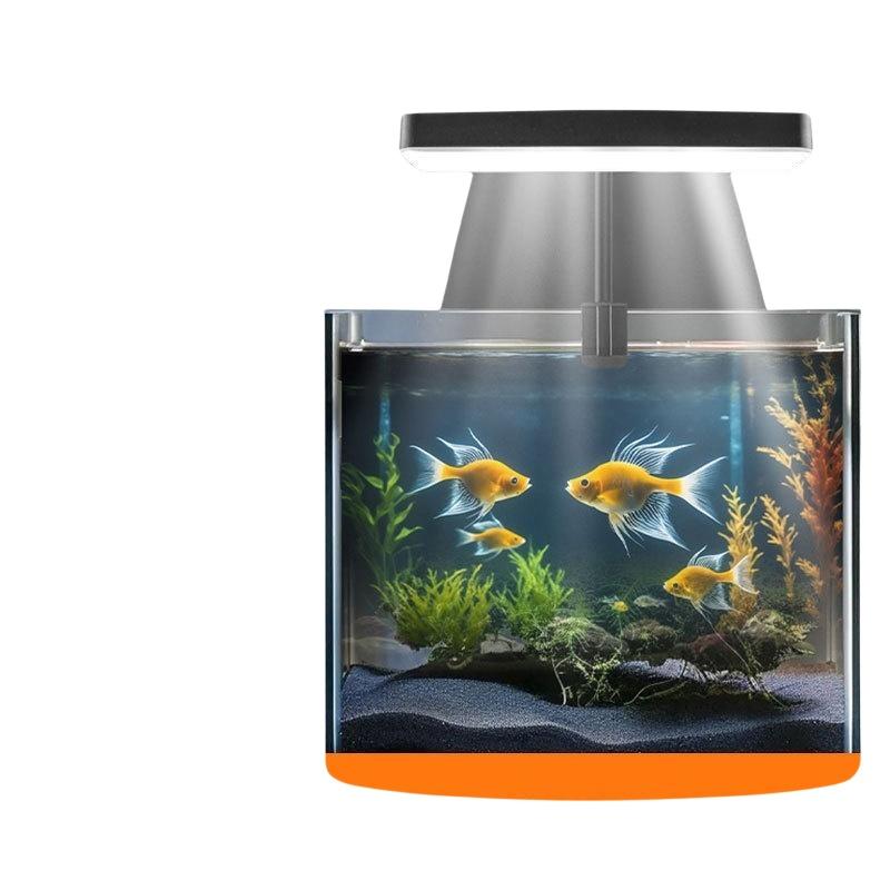 USB-Aquarium-Clipleuchte mit F – Aquarium Fish In Bewertung und Preis