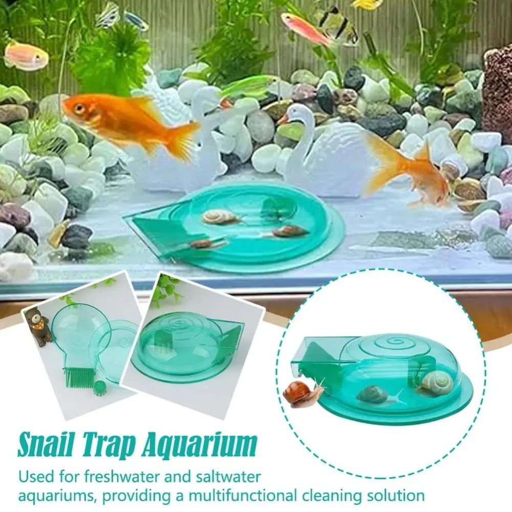 Süßwasser- und Salzwasser-Aqua – Aquarium Fish Escape Bewertung und Preis