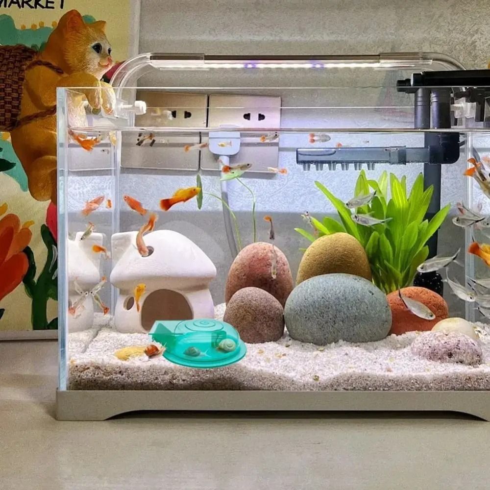Süßwasser- und Salzwasser-Aqua – Aquarium Fish Escape Bewertung und Preis