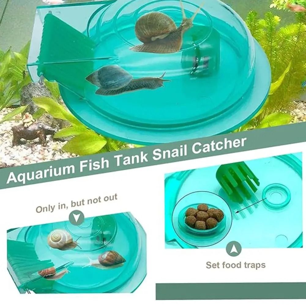 Süßwasser- und Salzwasser-Aqua – Aquarium Fish Escape Bewertung und Preis