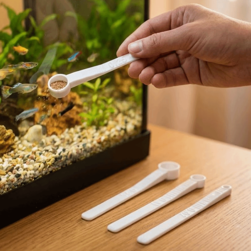 3-teiliger Fischfutter-Messlöf – Aquarium Fish Holiday Food Bewertung und Preis