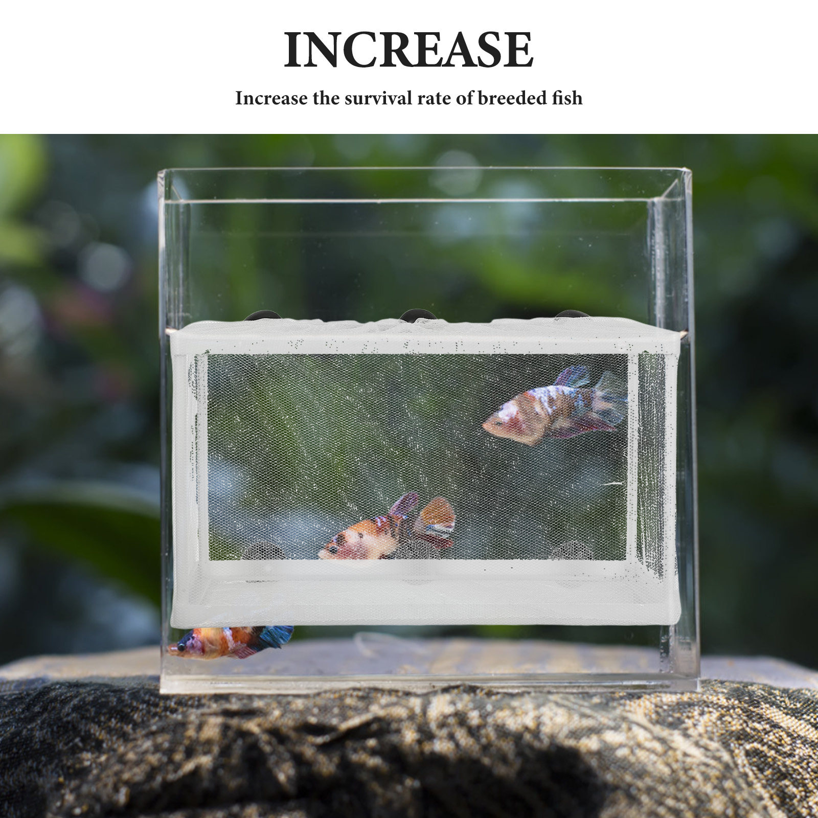 Große Fischbox mit Polyester-R – Aquarium Fish Net Big Size Bewertung und Preis