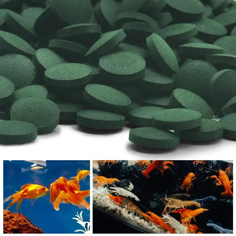 50/100/300/500 stücke Spirulin – Aquarium Fish Holiday Food Bewertung und Preis