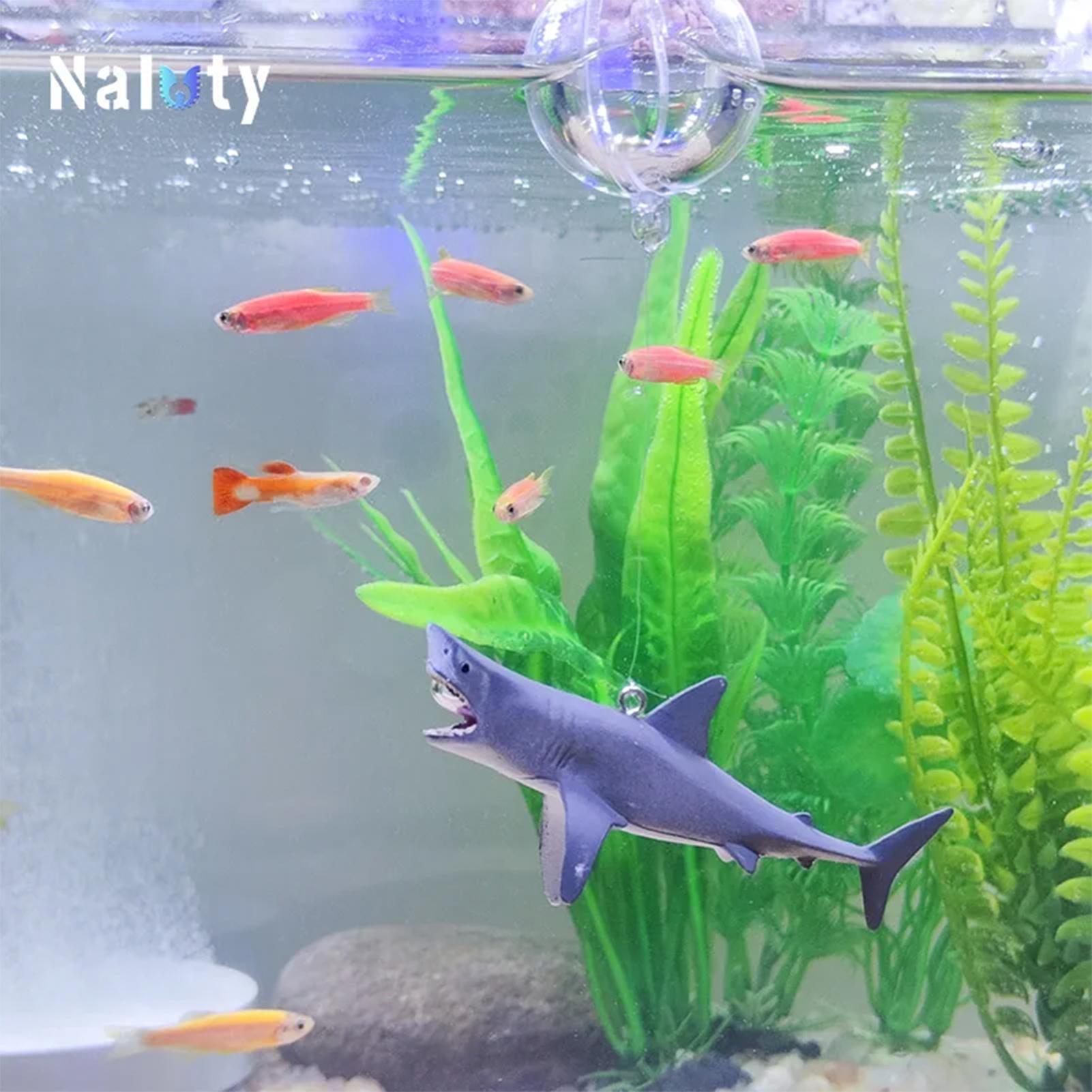 Schwimmende Hai-Aquarium-Lands – Aquarium Fish Escape Bewertung und Preis