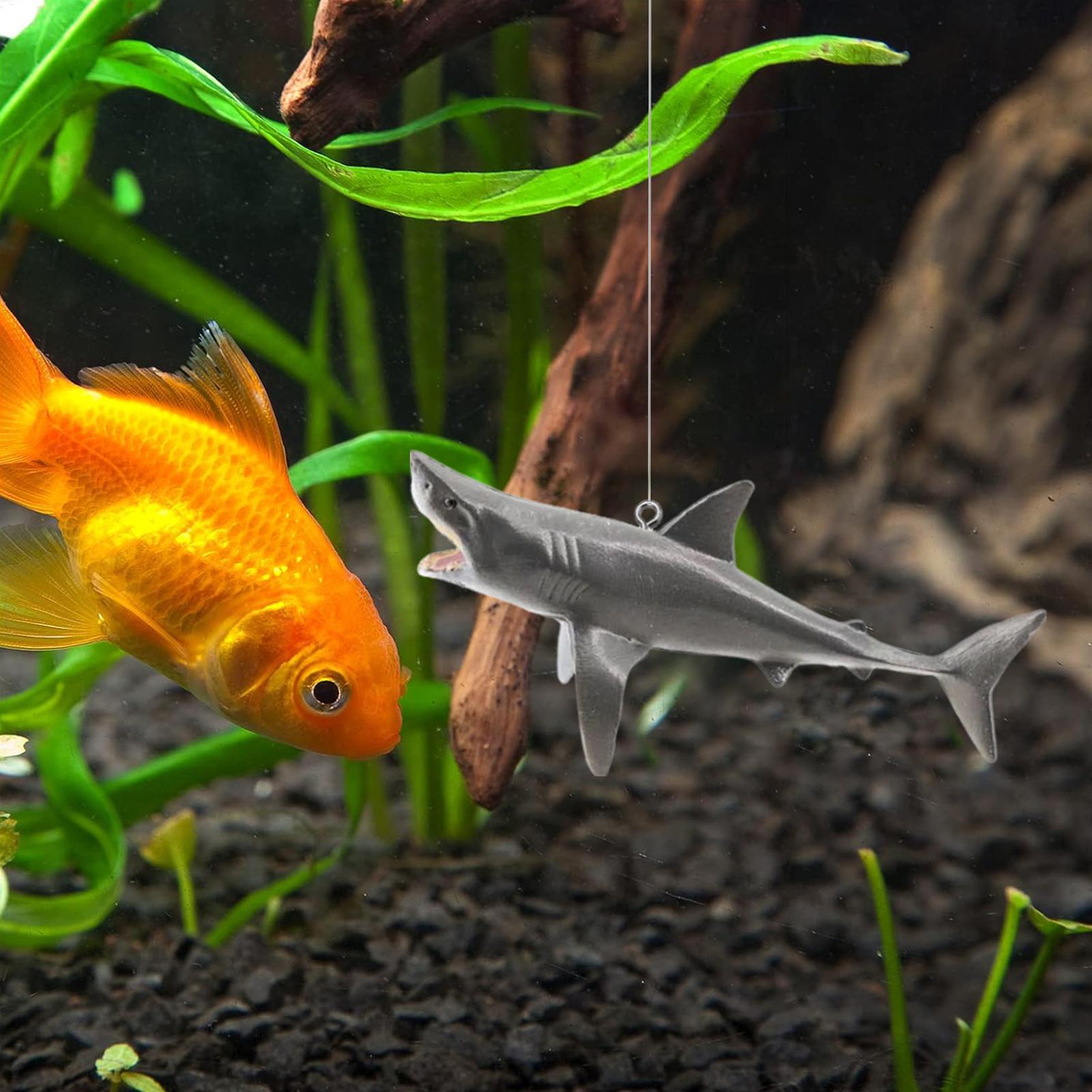 Schwimmende Hai-Aquarium-Lands – Aquarium Fish Escape Bewertung und Preis