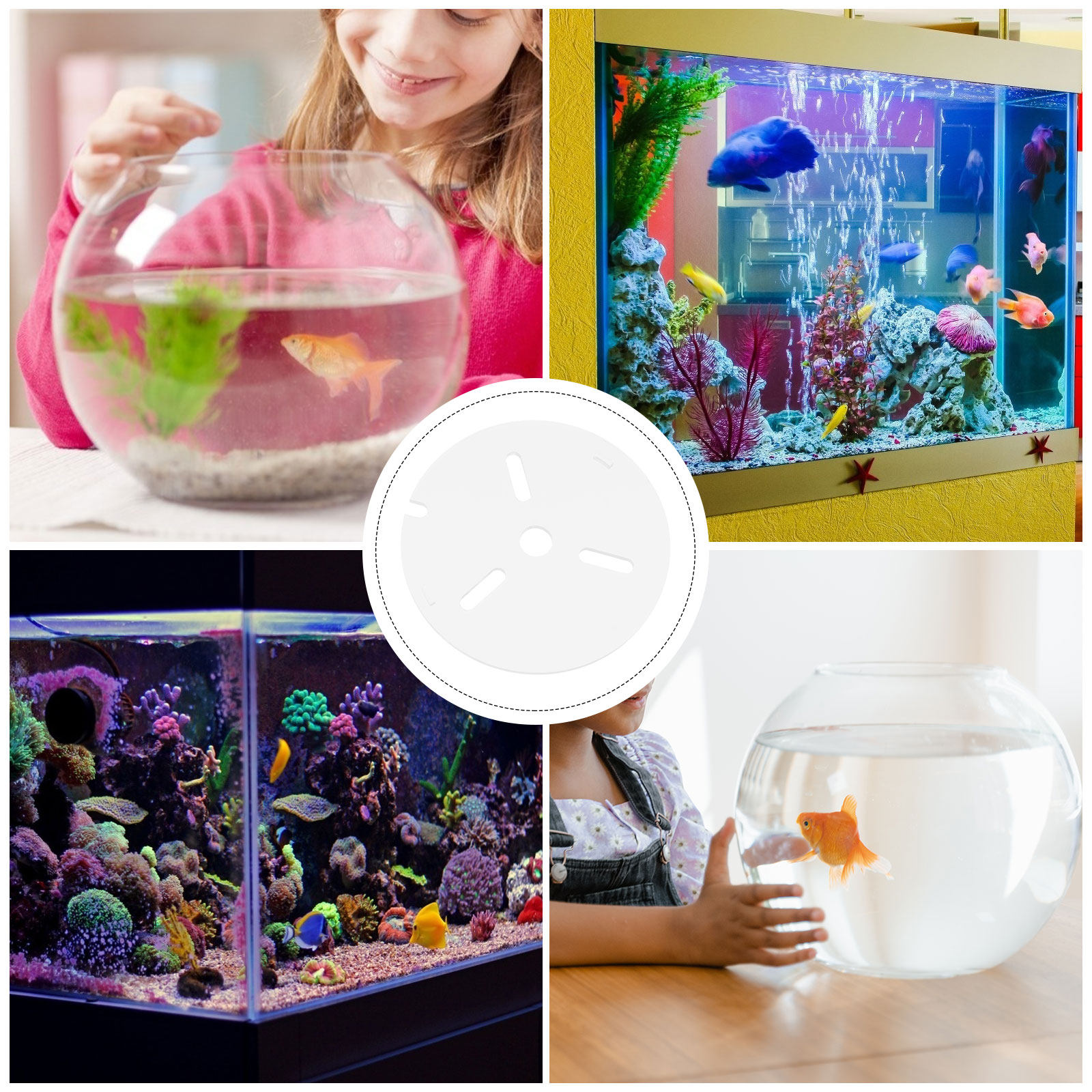 Acryl-Aquariumdeckel mit Anti- – Aquarium Fish Escape Bewertung und Preis