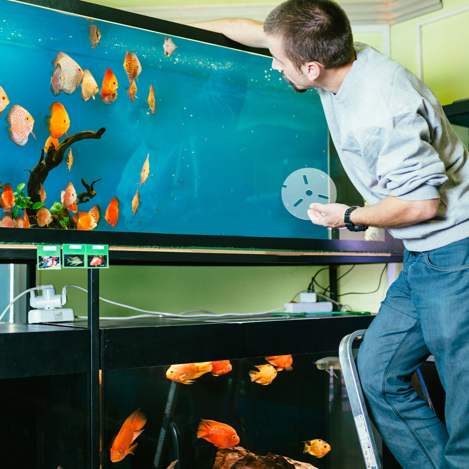Acryl-Aquariumdeckel mit Anti- – Aquarium Fish Escape Bewertung und Preis