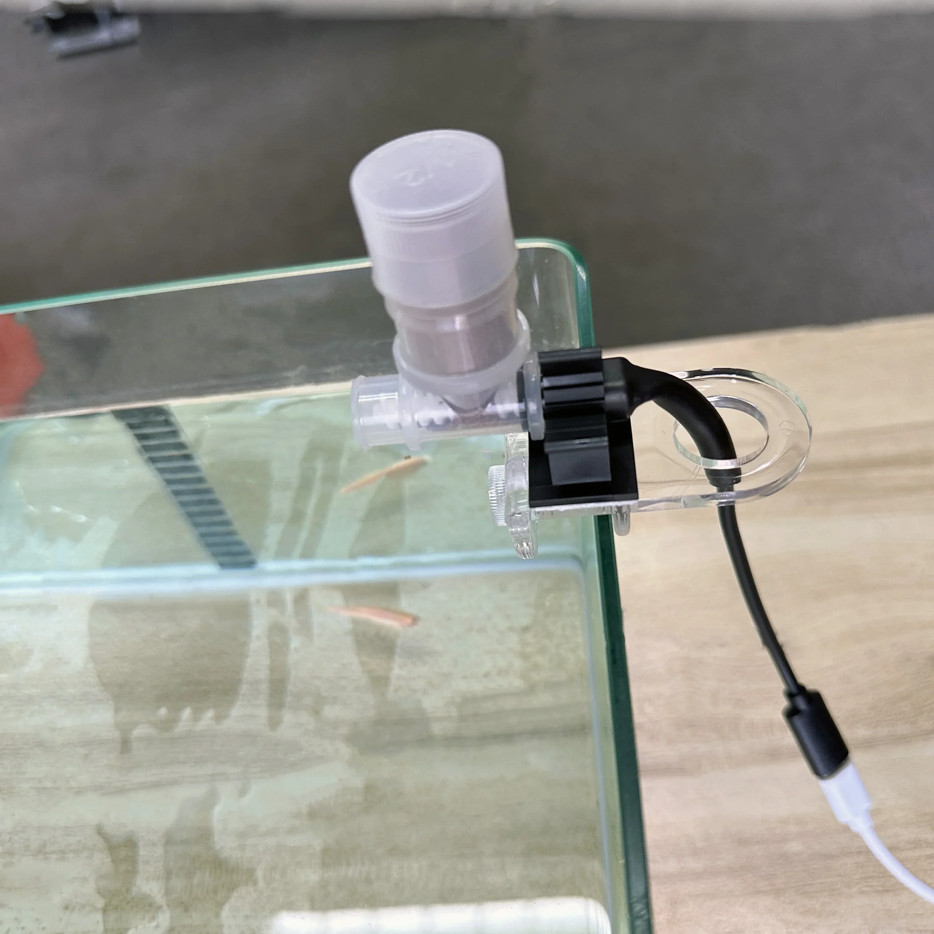 Bester automatischer Fischfutt – Aquarium Fish Holiday Food Bewertung und Preis