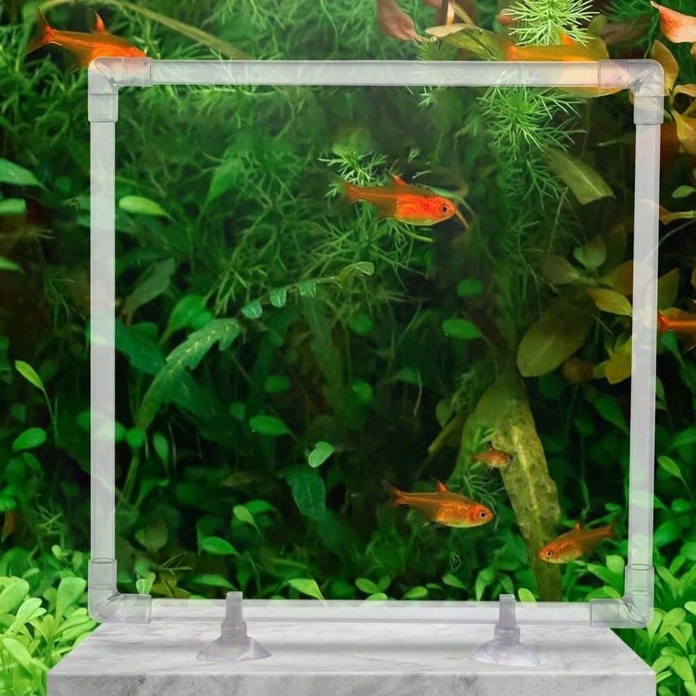 Aquarium-Schwimmpflanzen-Korra – Aquarium Fish Zone Bewertung und Preis
