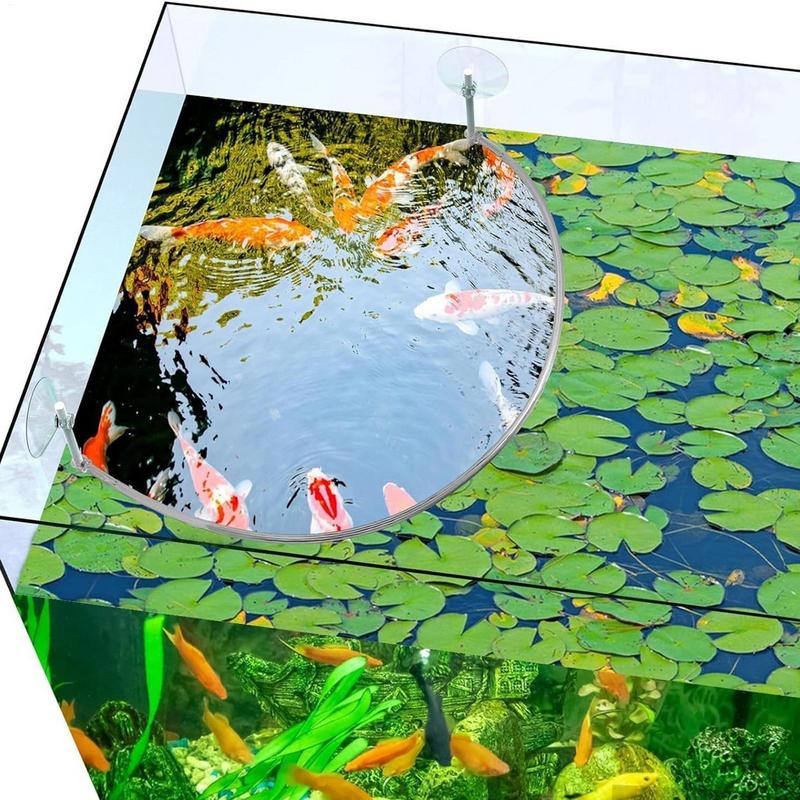 Floating Plant Corral Fish Fee – Aquarium Fish Real Bewertung und Preis