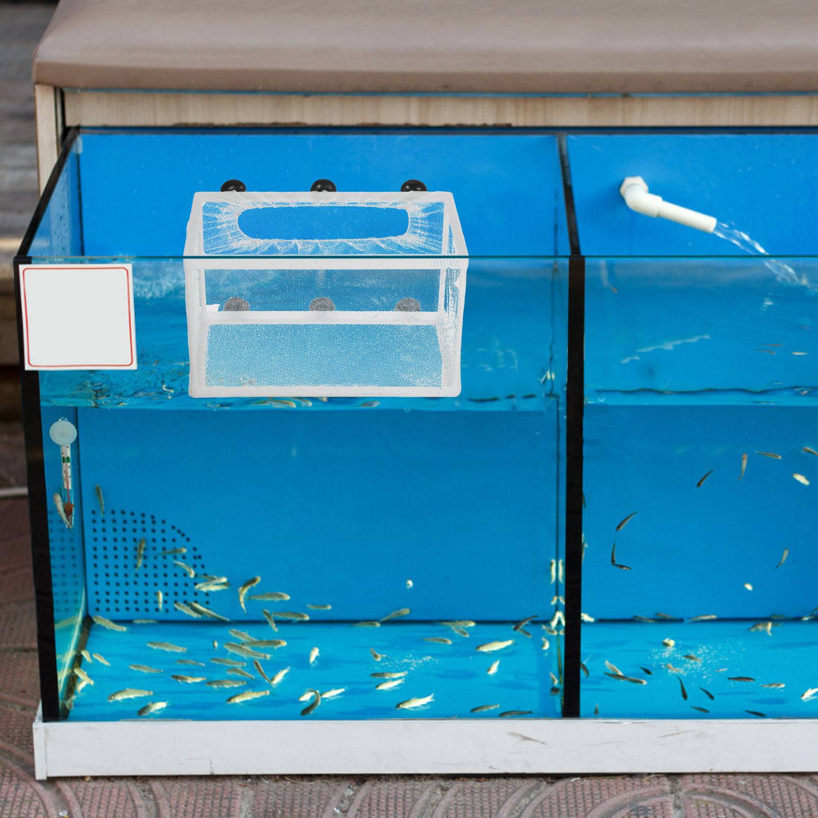 Großes Fischnetz für die Fisch – Aquarium Fish Net Big Size Bewertung und Preis