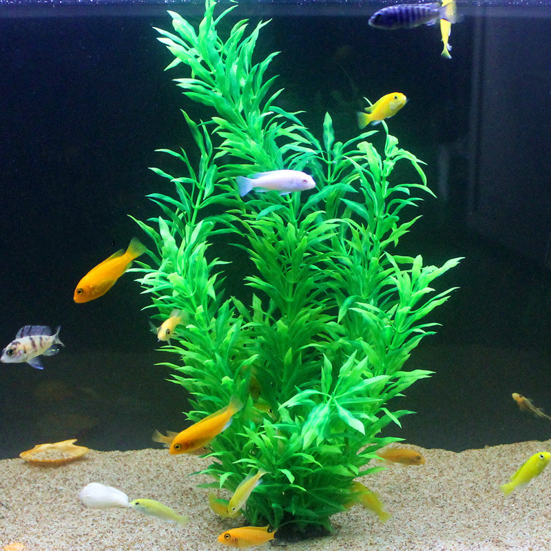 50CM Künstliche Aquarium Selte – Aquarium Fish Real Bewertung und Preis