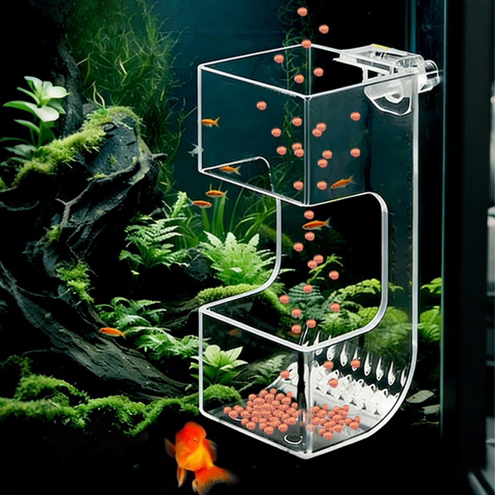 Transparente Futterbox für Aqu – Aquarium Fish Holiday Food Bewertung und Preis