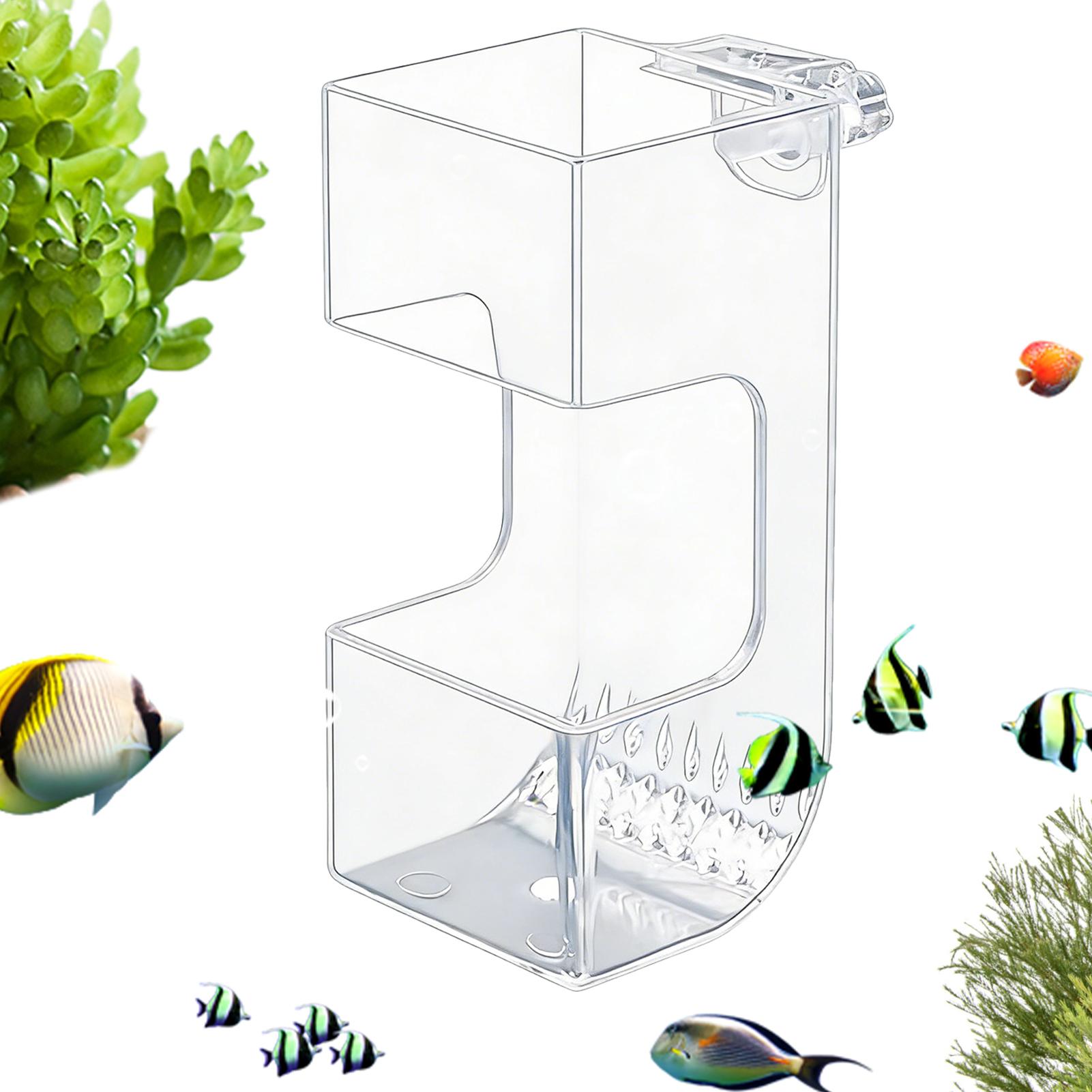Transparente Futterbox für Aqu – Aquarium Fish Holiday Food Bewertung und Preis