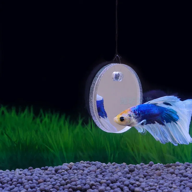 Aquarium Betta Spiegel Aquariu – Aquarium Fish Escape Bewertung und Preis