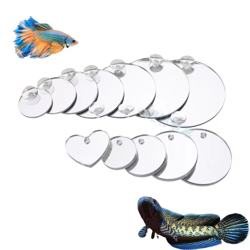 Aquarium Betta Spiegel Aquariu – Aquarium Fish Escape Bewertung und Preis