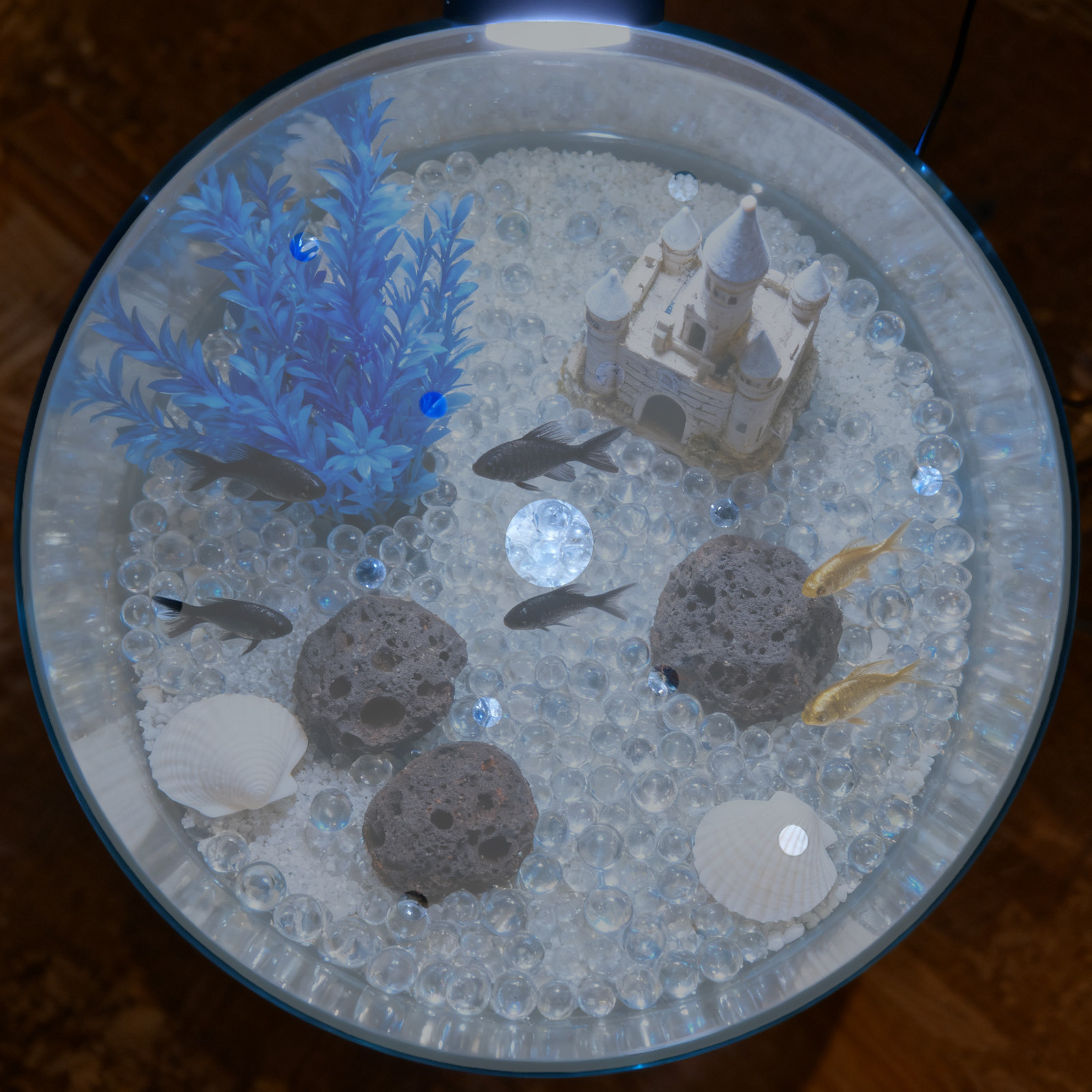 7 Zoll Runde Acryl-Aquariumabd – Aquarium Fish Escape Bewertung und Preis